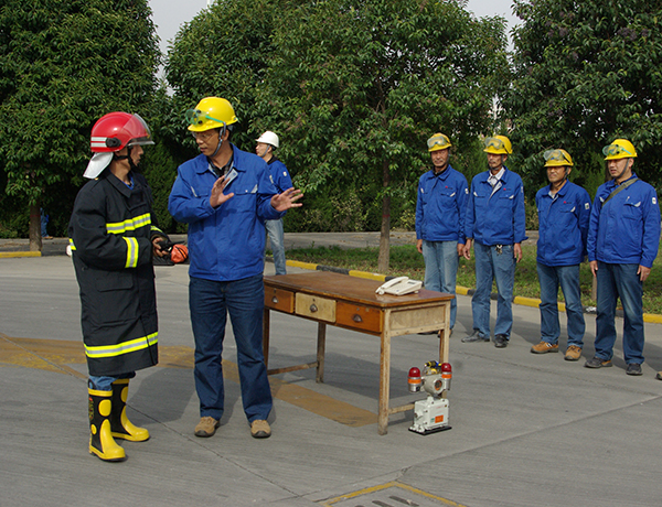 1603192809283511.jpeg IMGP5941.JPG