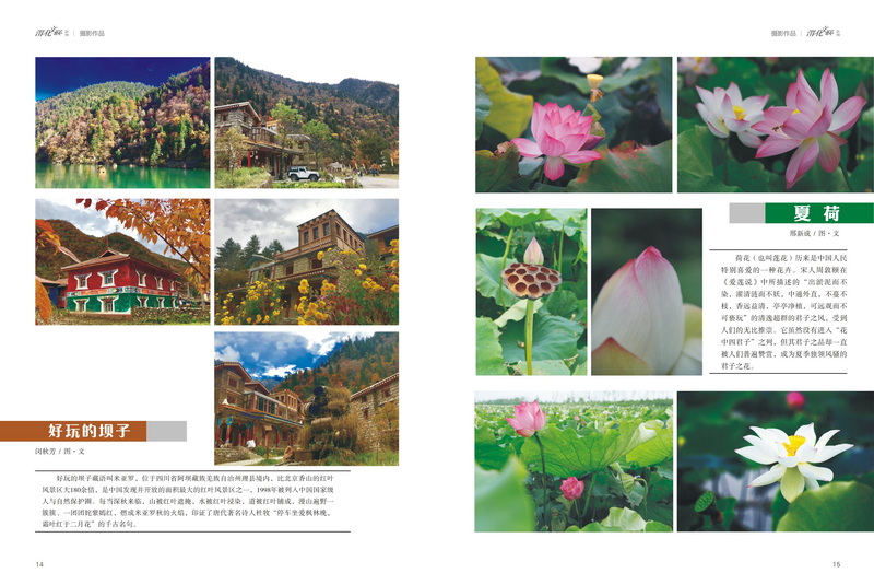 1632886116932234.jpeg 8_2.jpg