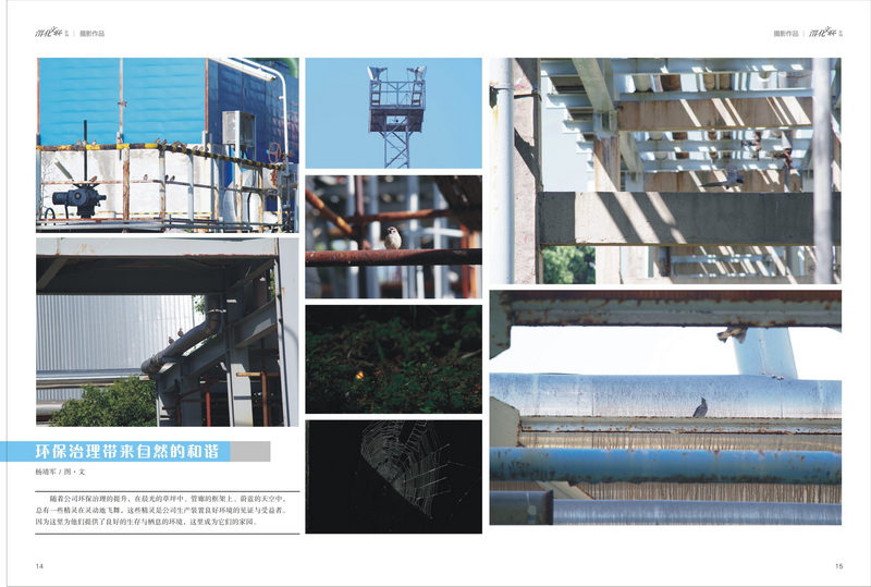 1642054715886671.jpeg 8_2.jpg