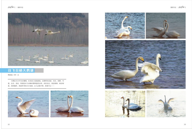 1642054806989780.jpeg 12_2.jpg