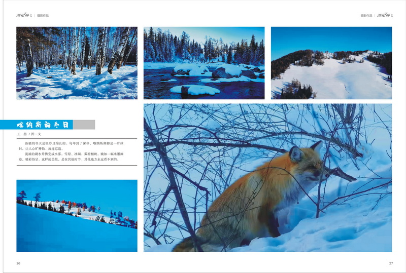 1650023815297785.jpeg 14_2.jpg