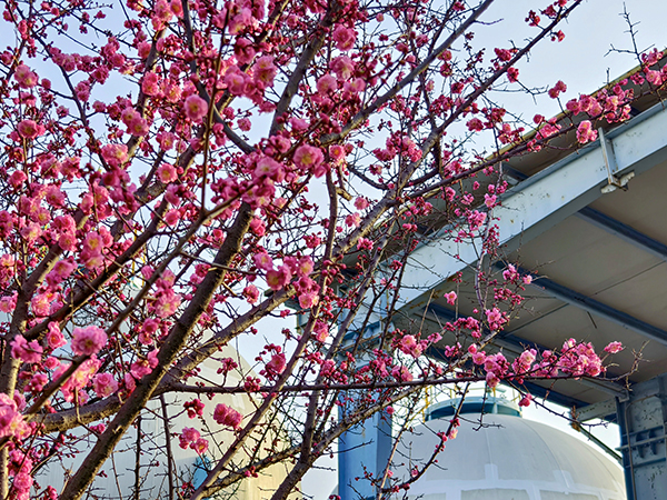 1710139480930593.jpeg 3 600.jpg