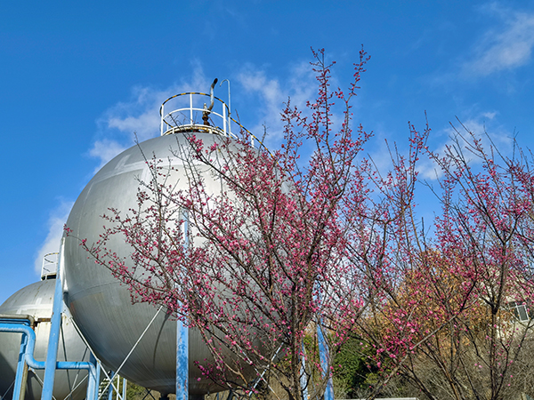 1710139494391845.jpeg 1 600.jpg