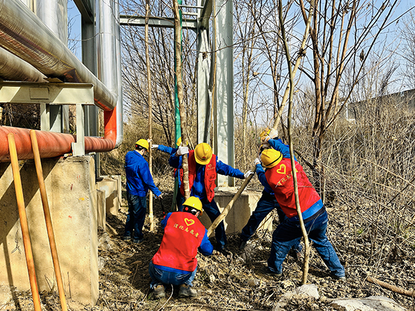 3月20日下午，物料車間黨支部開展了“清除雜草保安全 志愿服務(wù)顯擔(dān)當(dāng)”主題活動(dòng)，黨員及青年志愿者清理影響管線安全的枯樹枝   600.jpg