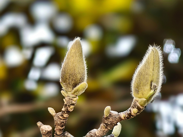 1711015241237576.jpeg 6 600.jpg