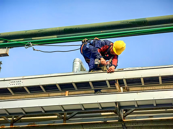 1734503520724154.jpeg 微信圖片_20241212105411.jpg