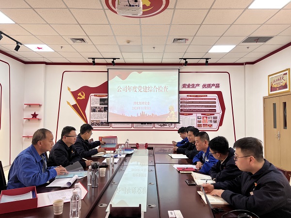 2024年11月5日，支部參加公司年度黨建檢查.jpg