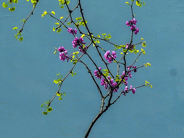 071744022057948446.jpg 3 副圖.jpg