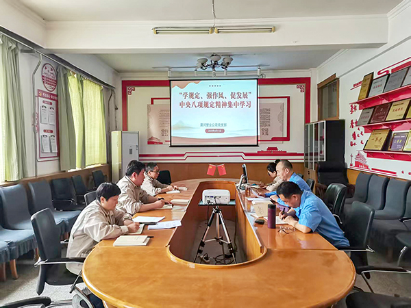 4月11日，渭河塑業(yè)公司全體黨員集中學(xué)習(xí)中央八項(xiàng)規(guī)定精神.jpg
