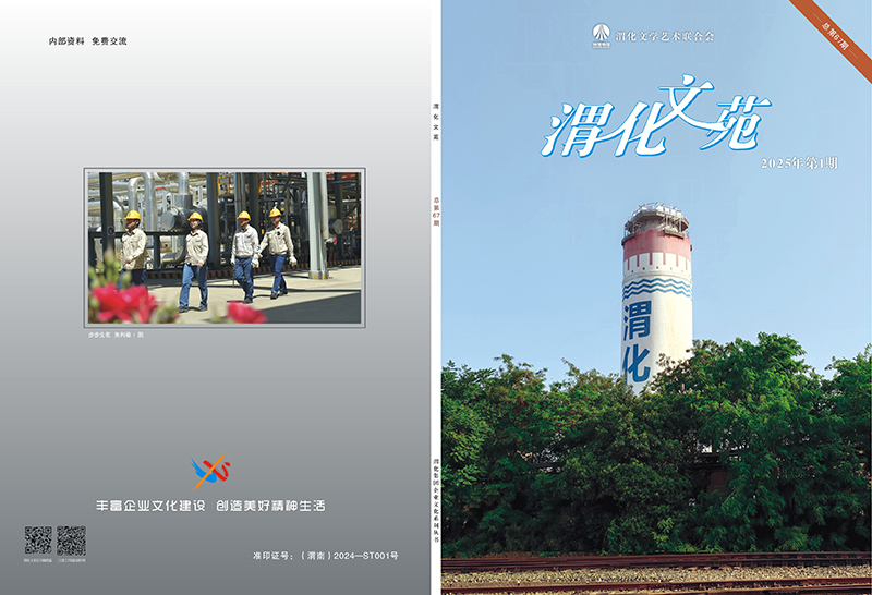 291748482619321082.jpg 渭化文苑封面-1.jpg