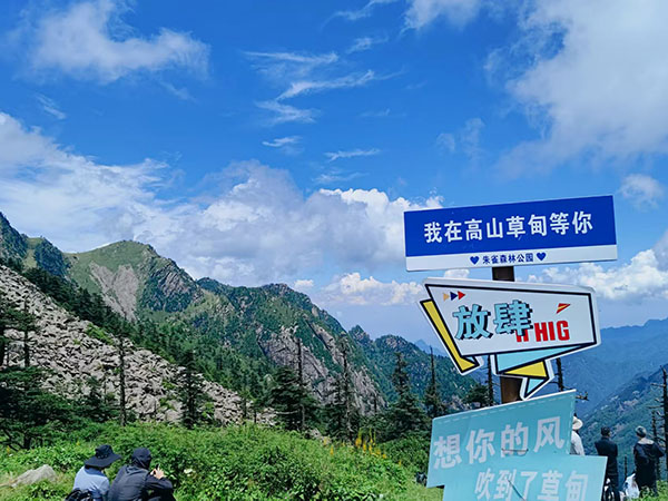 281753660406139458.jpg de63434eb2d658cbf53d13fc528dad9.jpg